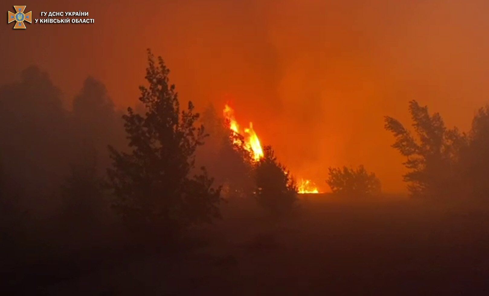 По словам спасателей, возникло возгорание лесной подстилки.