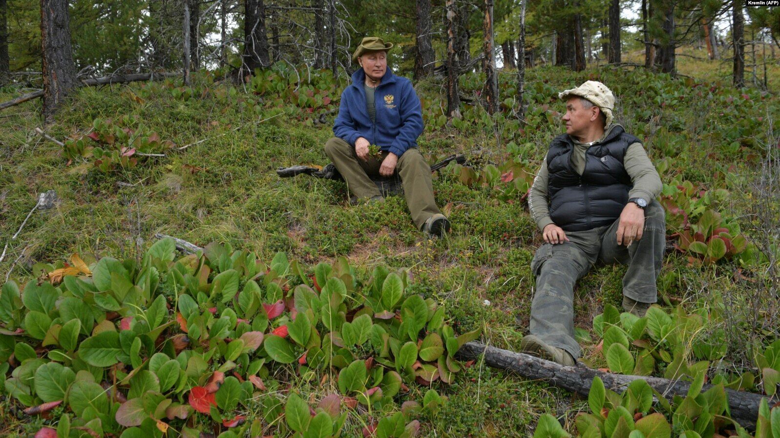 Путин и Шойгу в Тайге делают вид, что они герои гей-драмы "Горбатая гора"