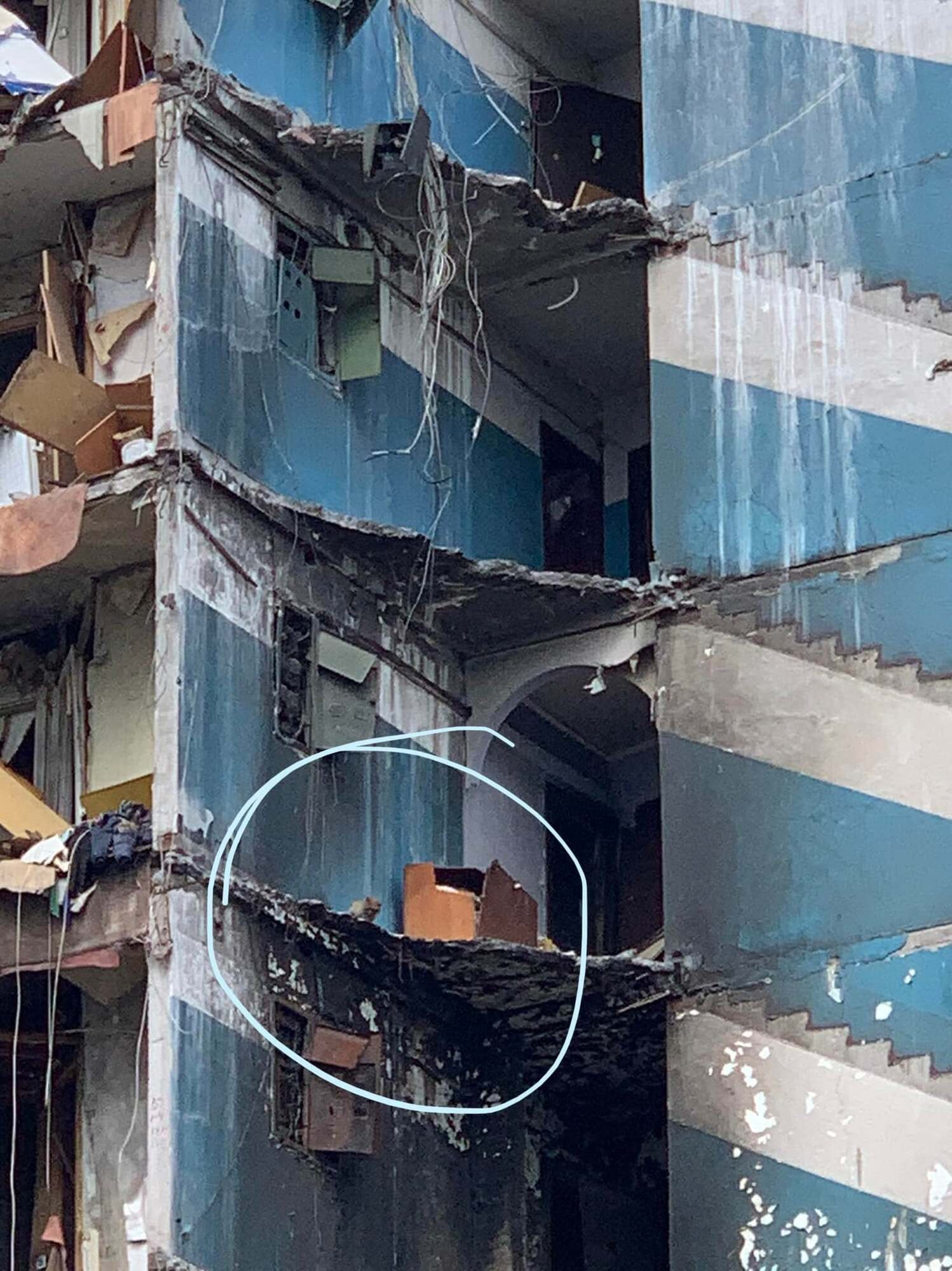 Как животное оказалось на верхних этажах разрушенного здания, неизвестно.