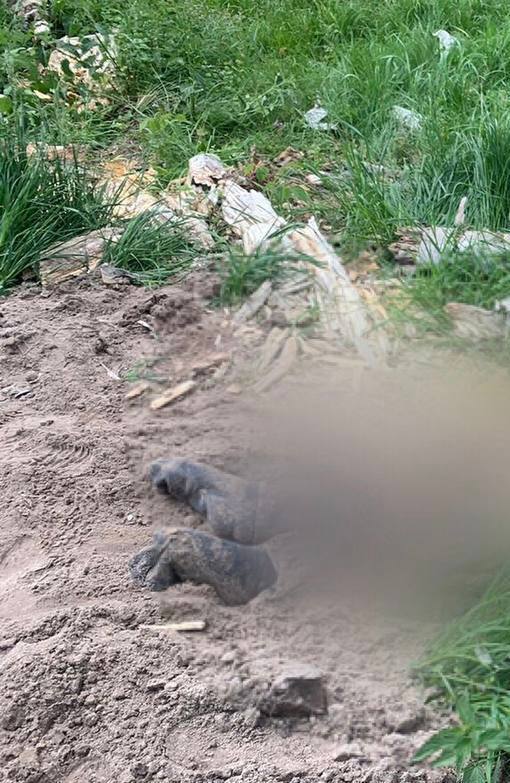 На Київщині знайшли тіло мирного мешканця, забитого до смерті окупантами