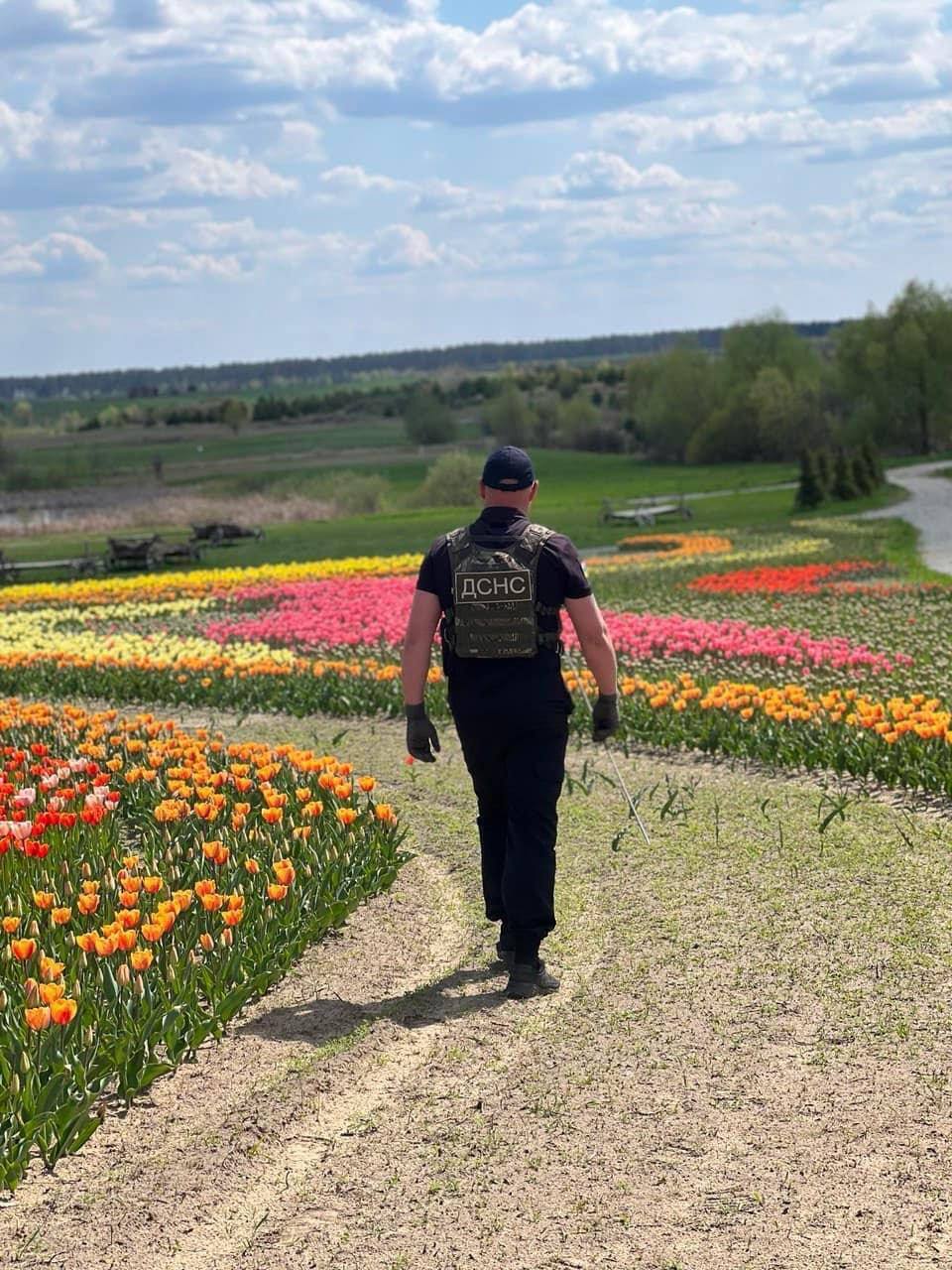 Розмінування території.