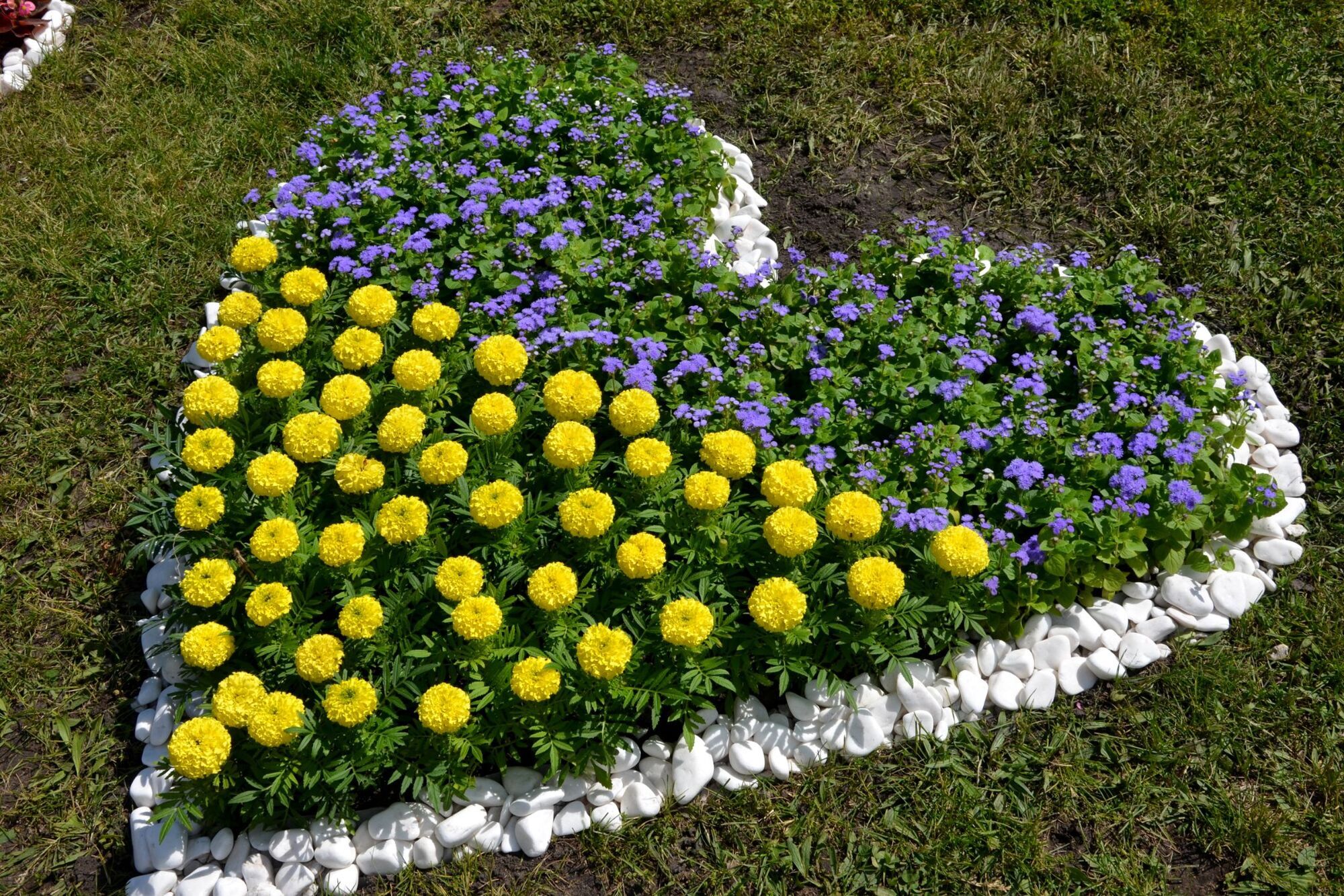 В Киеве коммунальщики создали 30 патриотических цветочных композиций