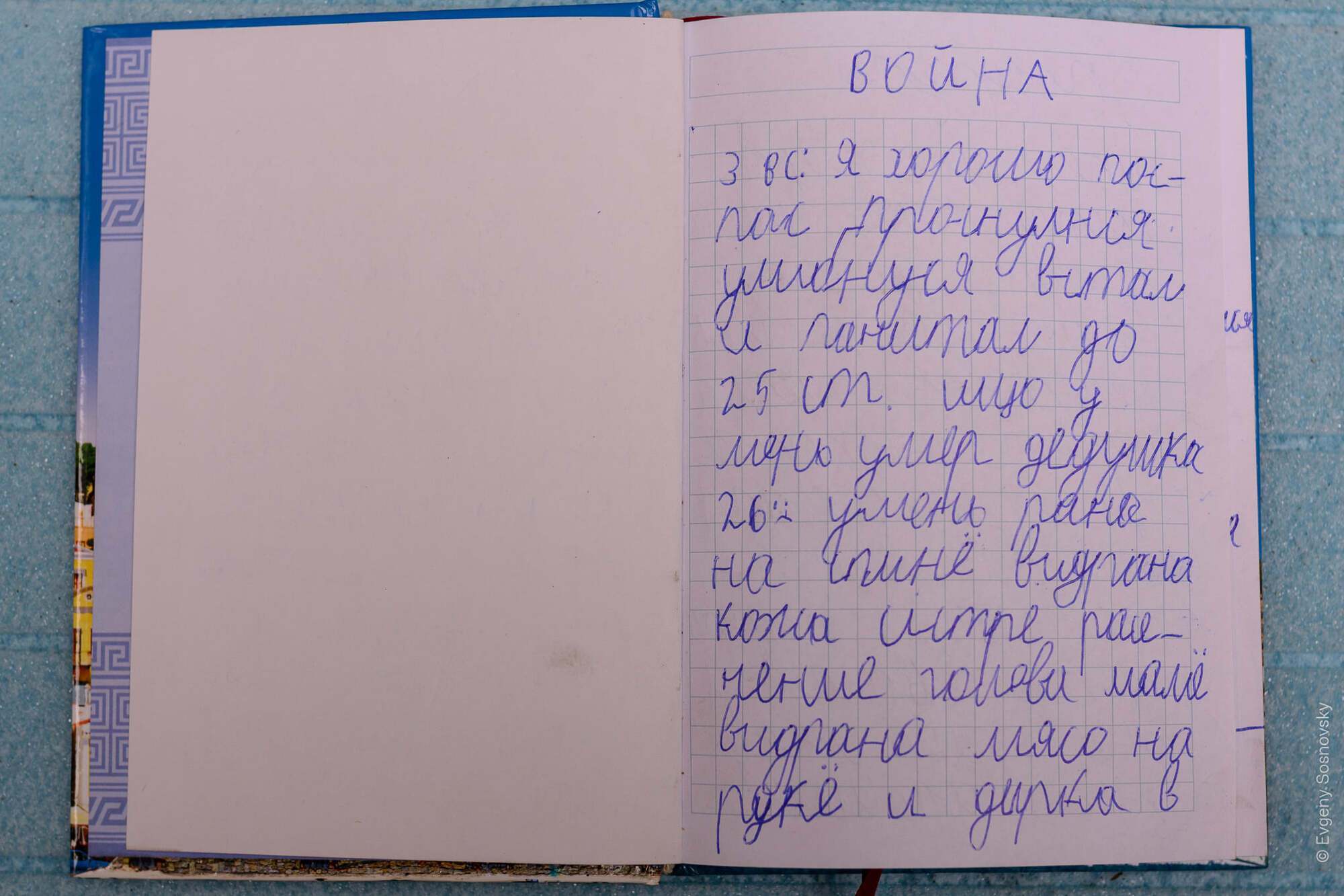 Дневник 8-летнего мальчика из Мариуполя
