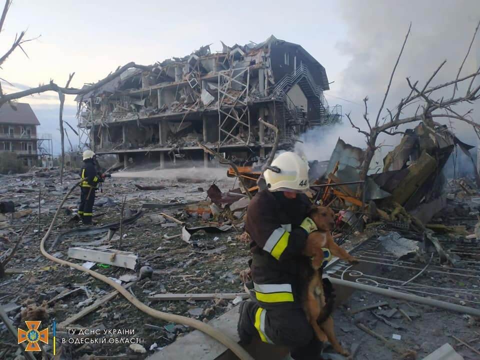 З-під завалів урятували собаку.