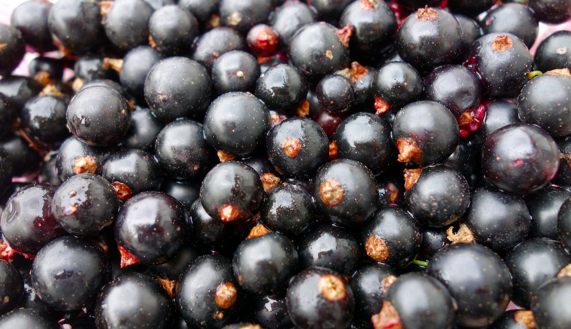 Полезное варенье из смородины и малины: как правильно сочетать ягоды