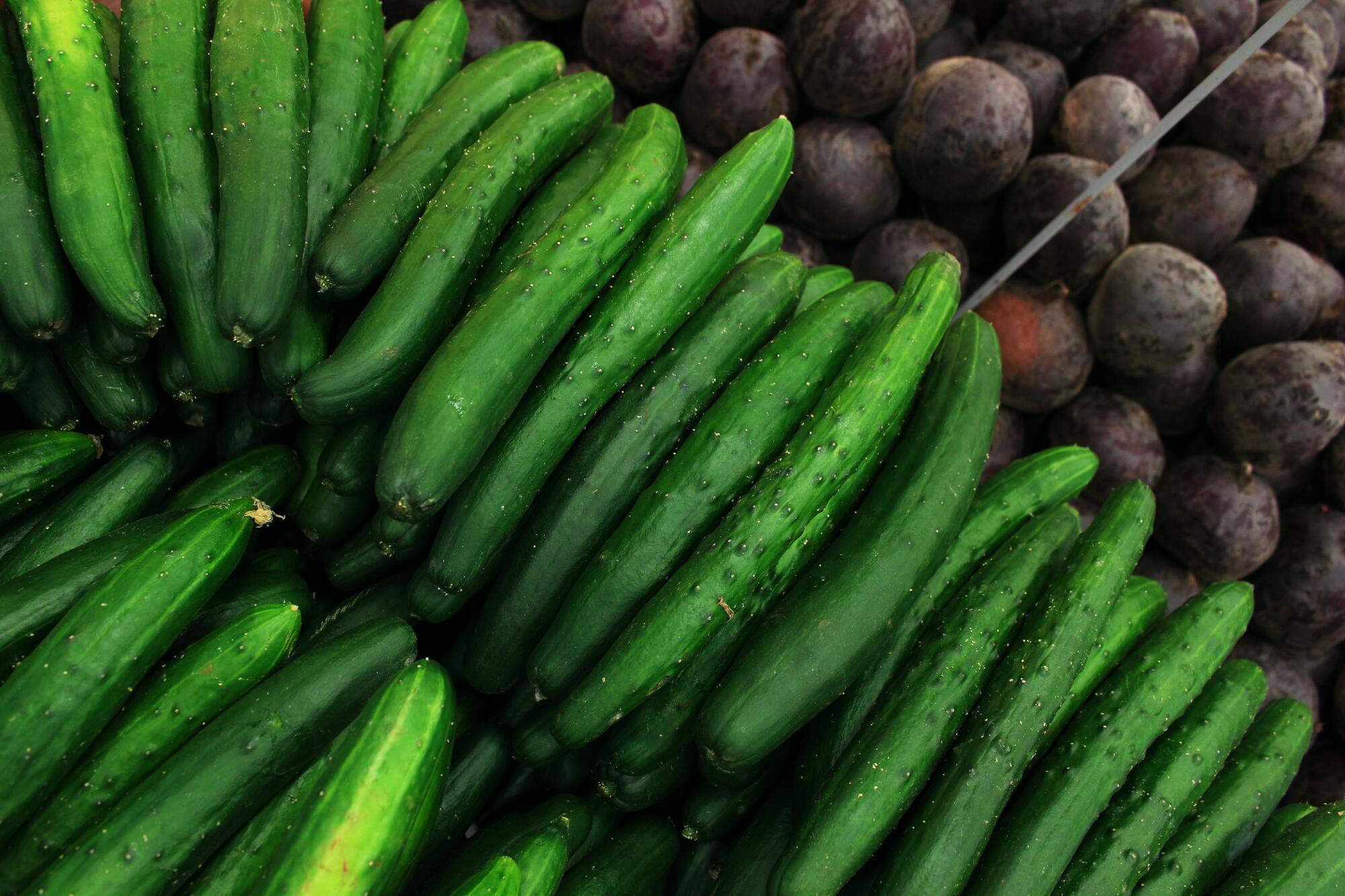 Огірки можуть зберігатися у холодильнику свіжими близько тижня.