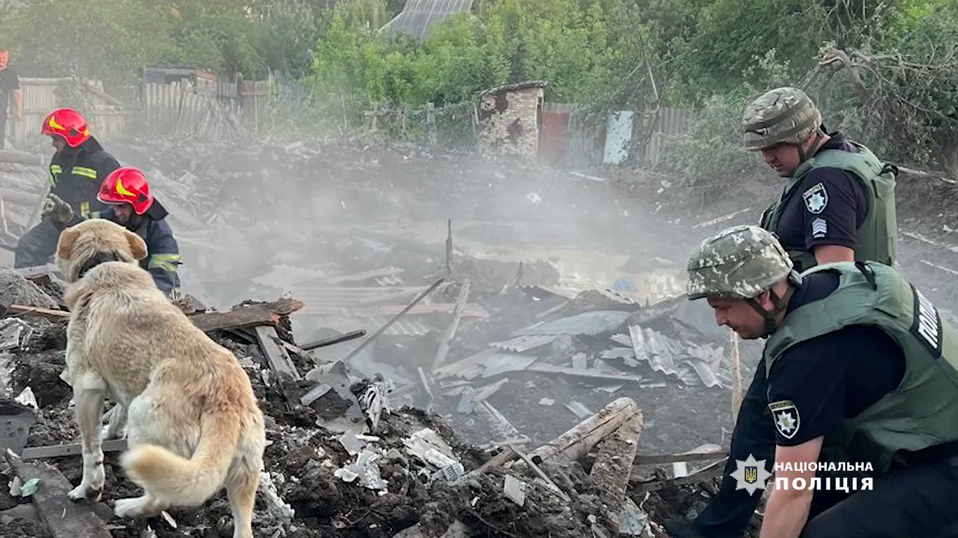 Пес Бадді чекає на господарів біля зруйнованого будинку в Костянтинівці