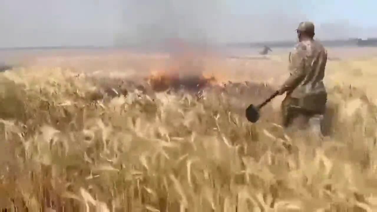 Оккупанты обстреливают украинские поля зажигательными снарядами. Видео