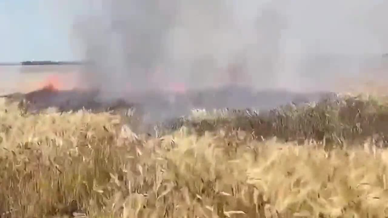Окупанти обстрілюють українські поля запальними снарядами. Відео