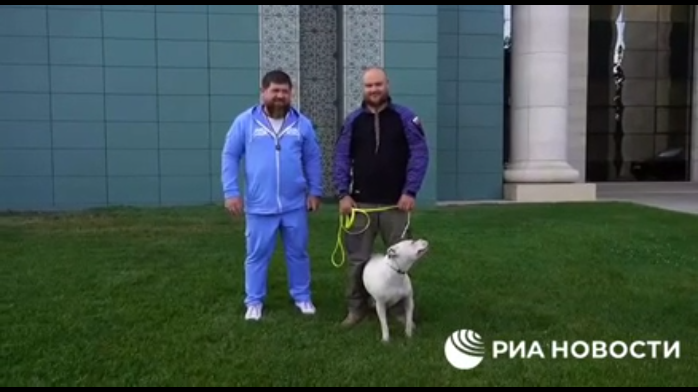 Из российского плена вернули собаку с "Азовстали", которую подарили Кадырову. Фото