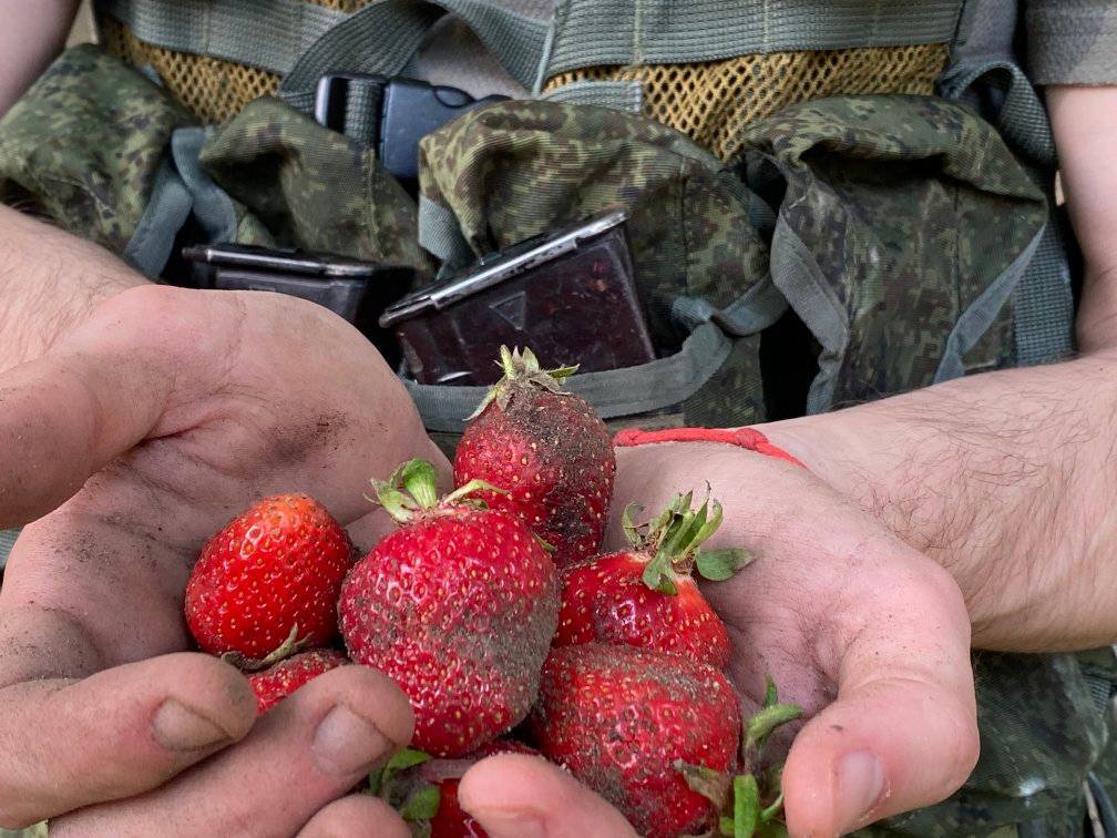 Полуниця в руках у російського військового