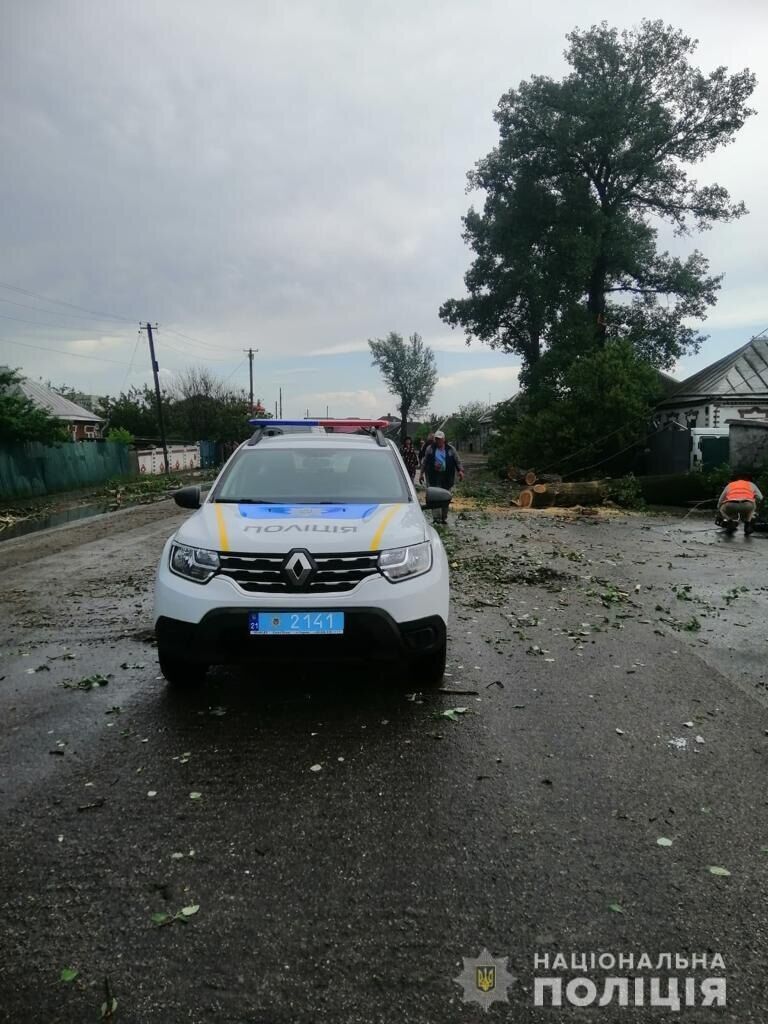 Ненастье повалило деревья в поселке Васищево