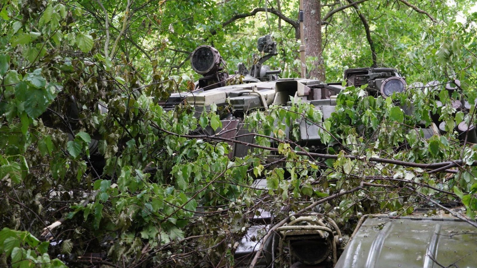 Замаскированные в лесу танки ВСУ