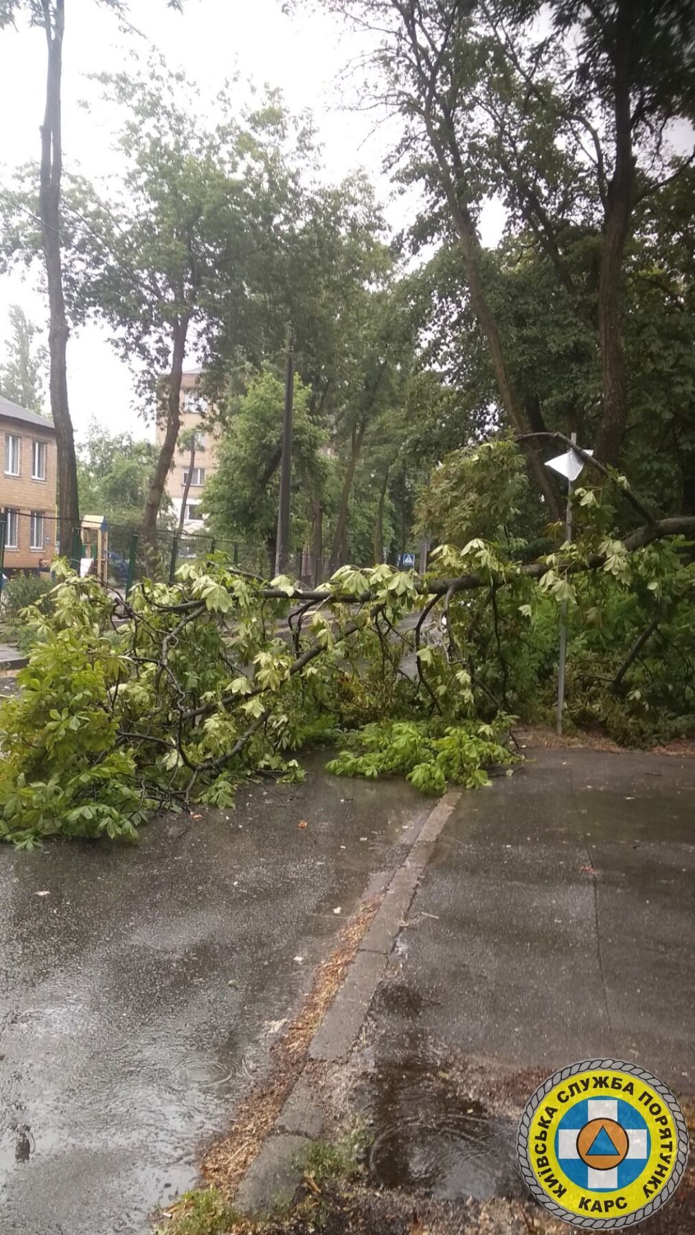 На вулиці Академіка Грекова, 13 дерево впало на дорогу.