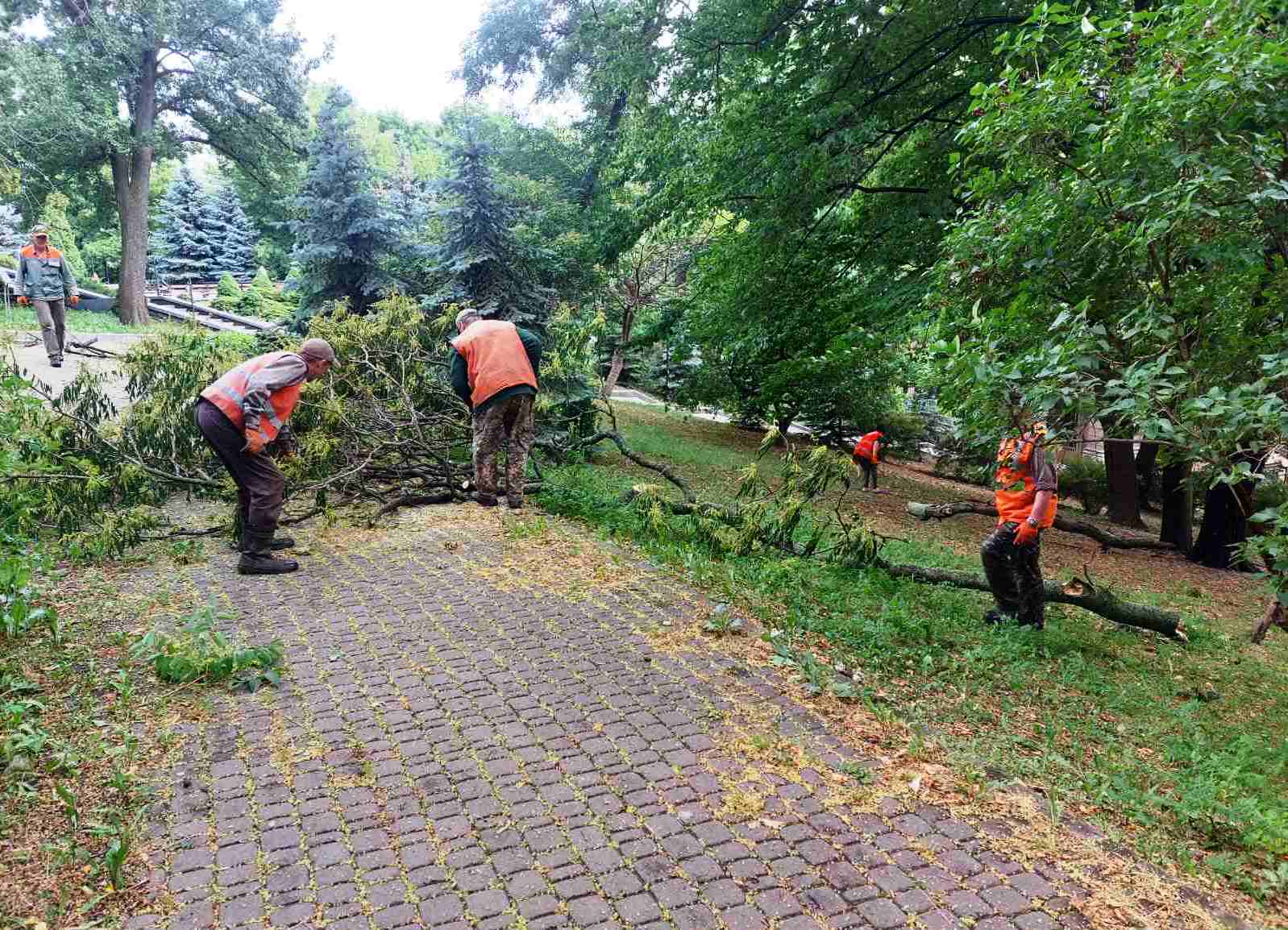 Було пошкоджено понад 80 дерев.