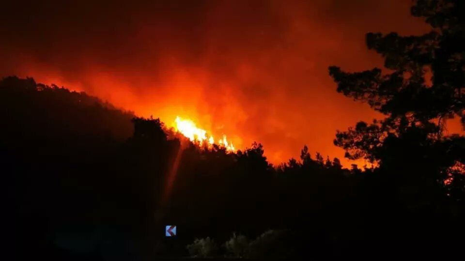 В районе курортного турецкого города Мармарис вспыхнул лесной пожар