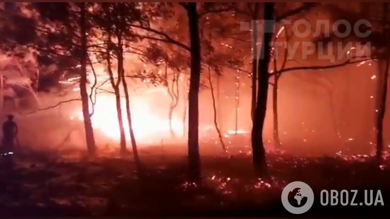 В районе курортного турецкого города Мармарис вспыхнул лесной пожар