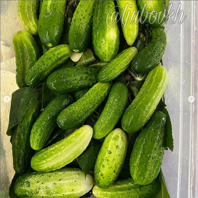 Квашені огірки, ніби з бочки: як швидко приготувати овоч