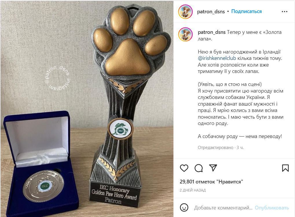 Пес-сапер Патрон получил награду "Золотая лапа"