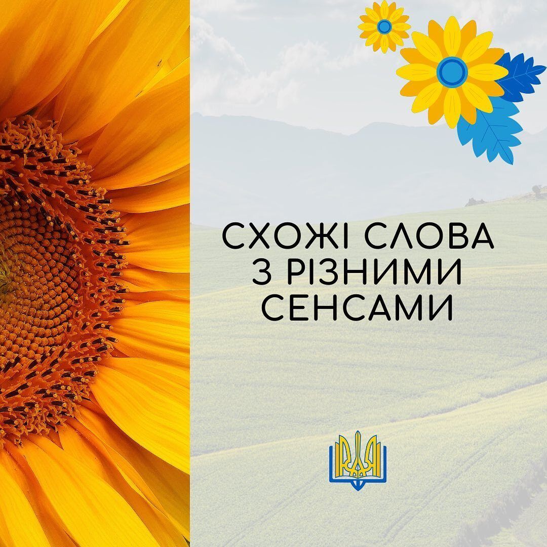 10 українських слів, значення яких майже всі плутають.