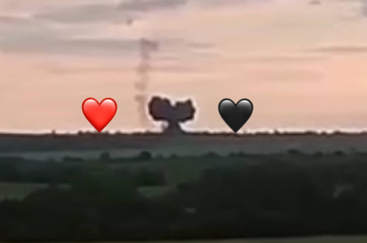 На Запоріжжі українські бійці приземлили ворожий Су-25. Відео