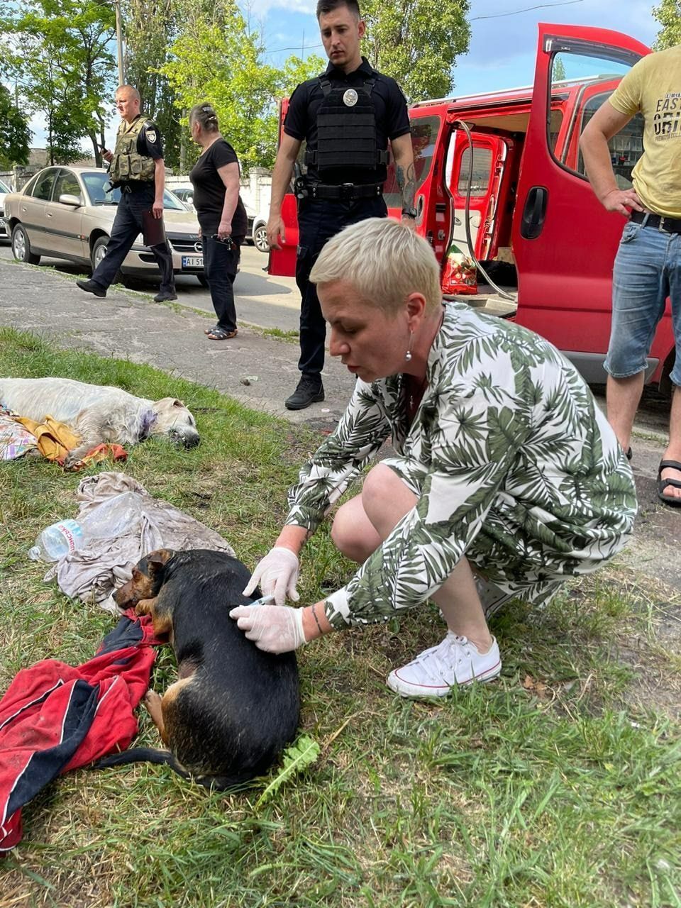 В Киеве в микроавтобусе обнаружили трупы собак