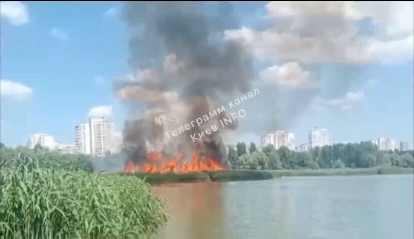 Рятувальники оперативно загасили вогонь.