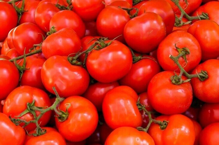 Перші страви з помідорами