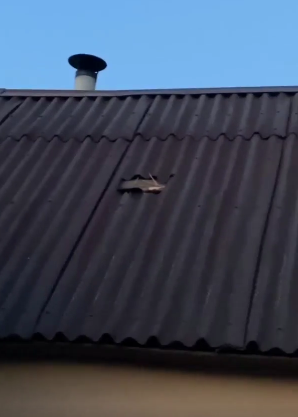 Уламки ракет впали на житлові будинки у Дніпрі: з'явилися фото та відео пошкоджень