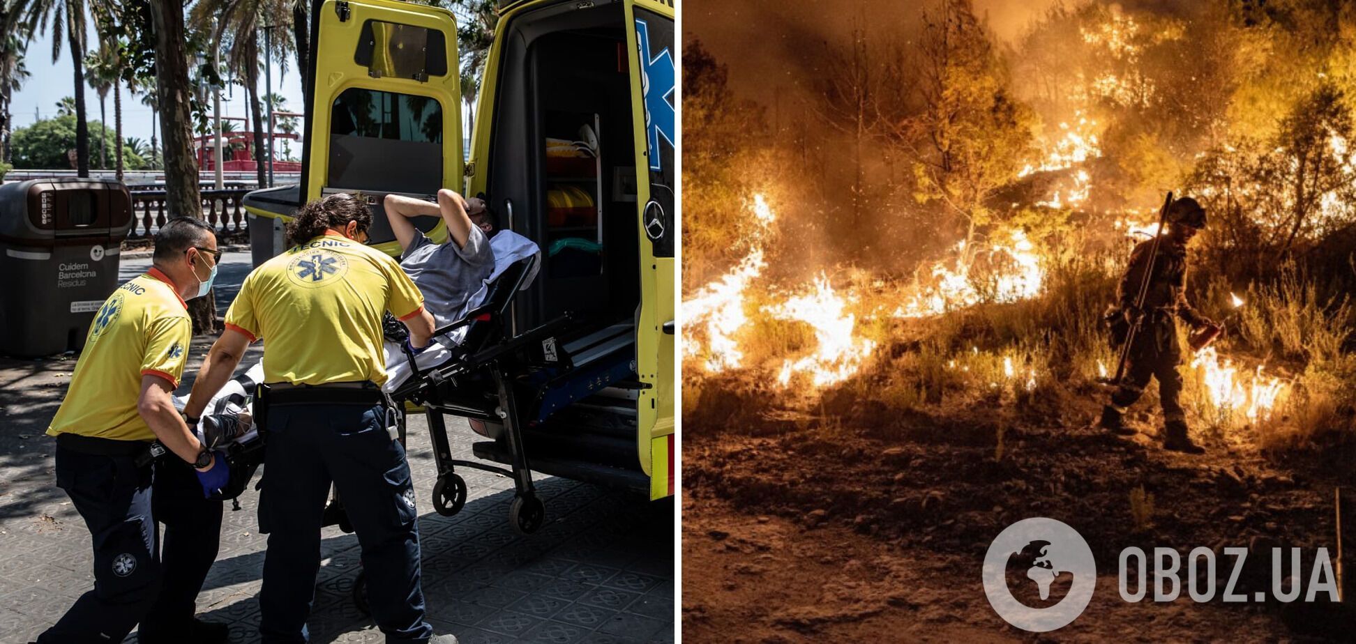 В Европе от жары гибнут люди, спасатели борются с огнем.