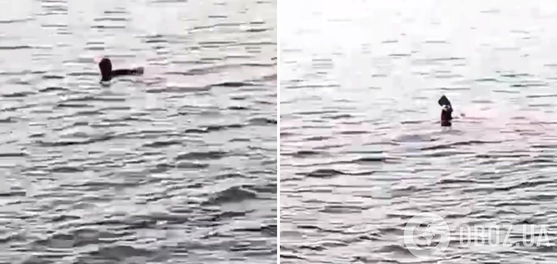В Хургаде на туристку напала акула