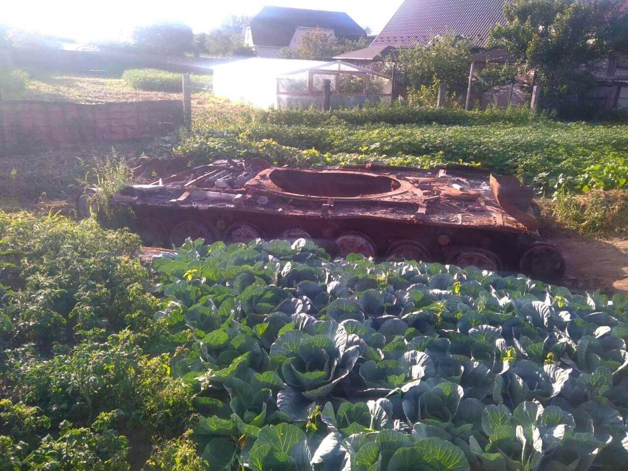 Жінка висадила овочі довкола знищеної російської техніки.