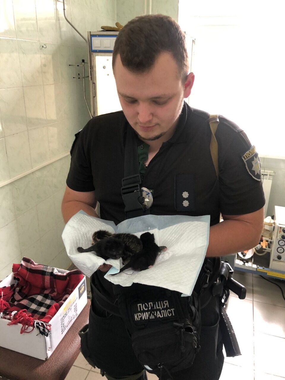 Поліцейський врятував трьох новонароджених кошенят.