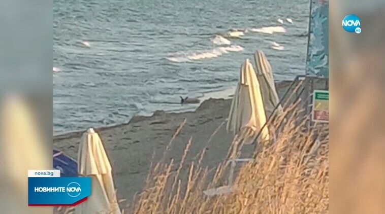 Остаток ракеты выбросило буквально на шезлонги отдыхающих