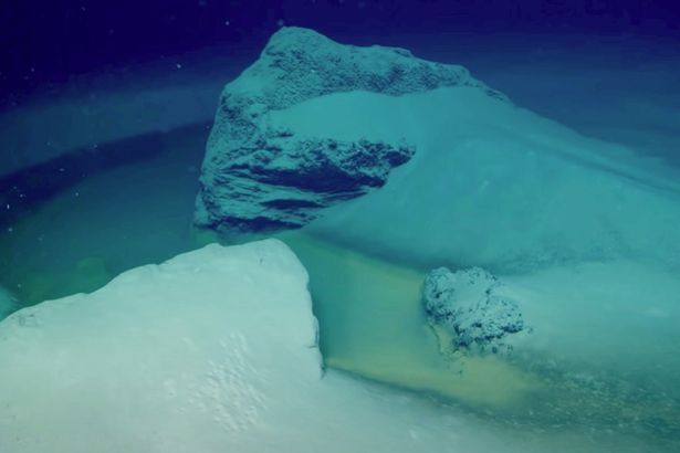 На дне Красного моря нашли смертоносный бассейн, убивающий все, что в него попадает
