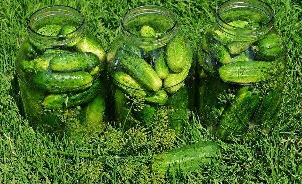 Мариновані огірки з французькою гірчицею на зиму