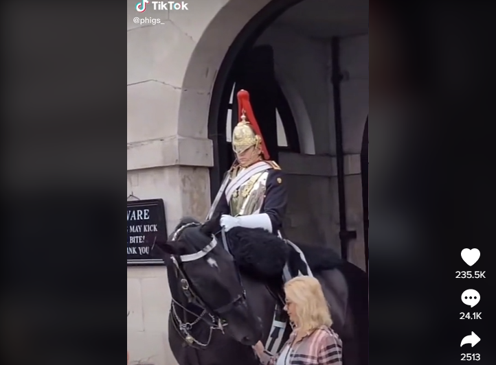 Охранник королевы Елизаветы II накричал на туристку, которая коснулась его коня.