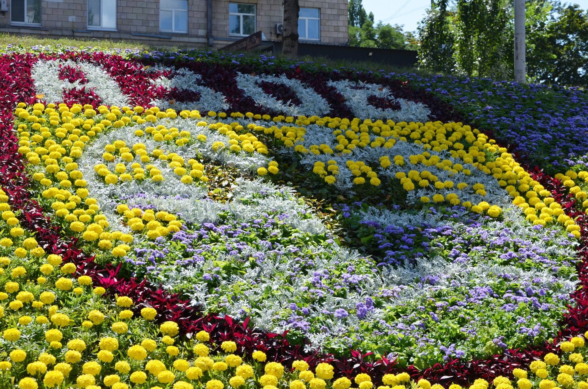 Коммунальщики высадили 8,7 тыс. цветов.