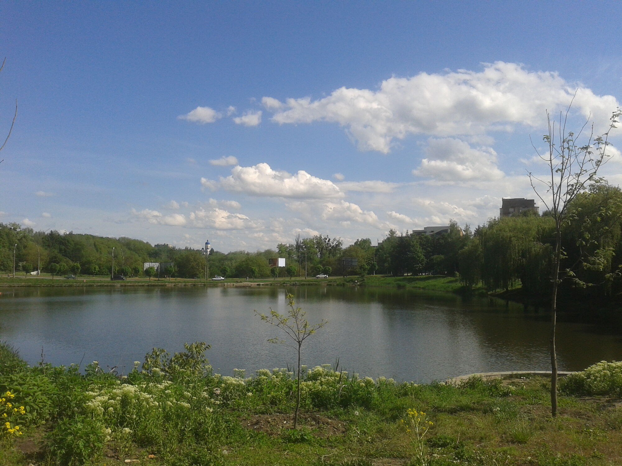 Озеро в парку "Жовтневий".