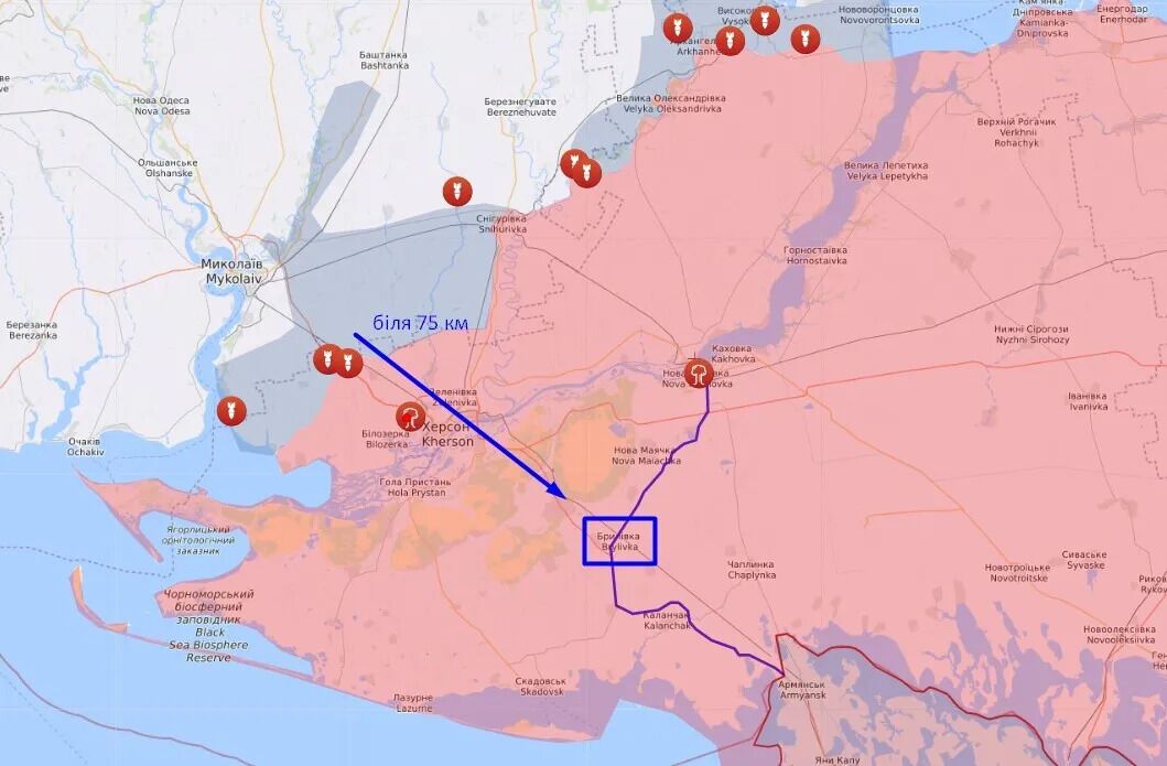 ЗСУ завдали удару по позиціях військ РФ в окупованій Брилівці