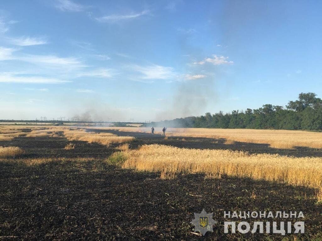 Из-за обстрелов в Донецкой области горели поля