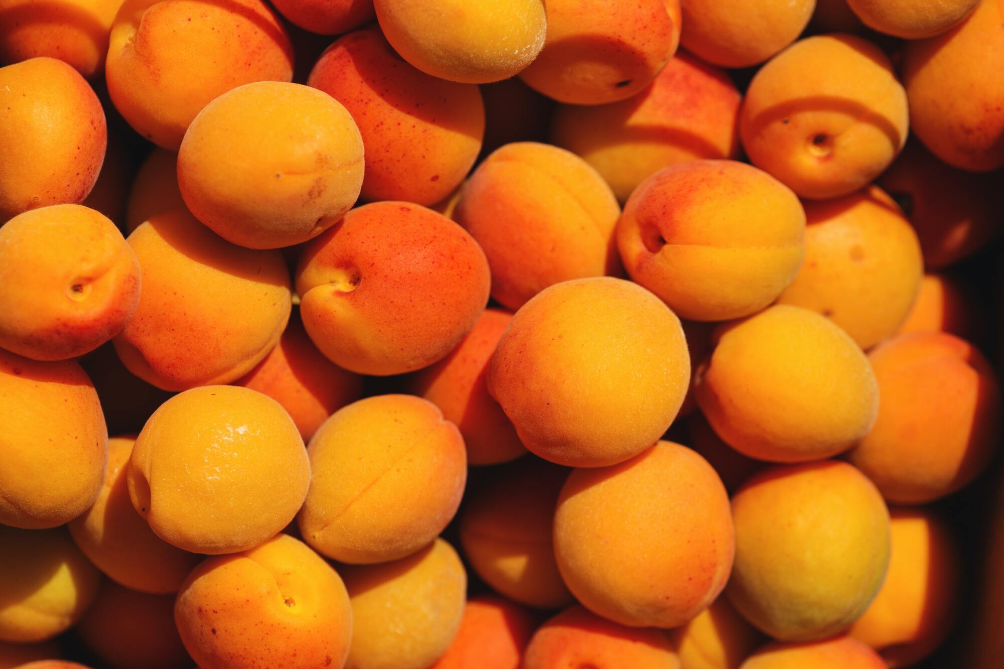 Стиглі абрикоси