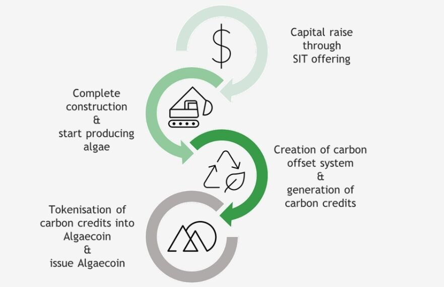 "Дорожня карта" криптопроекту Algaecoin.