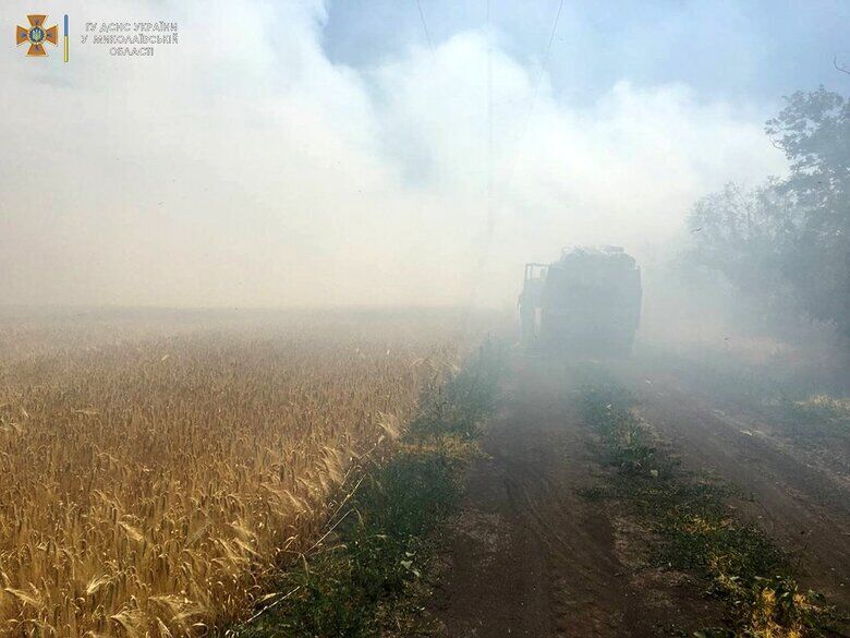 Окупанти спалюють поля з урожаєм