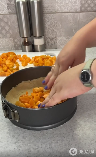 Сырный пирог с абрикосами: тесто получается очень пышным