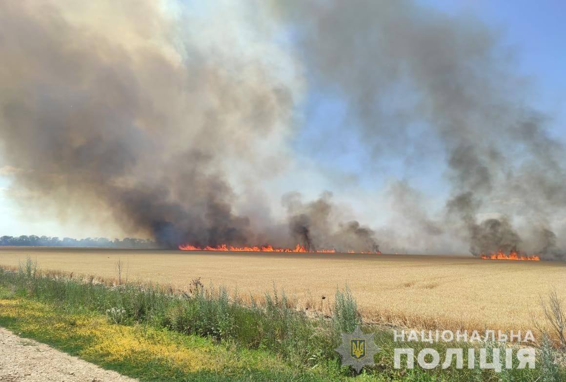 Росія умисно знищує врожай зернових на Херсонщині