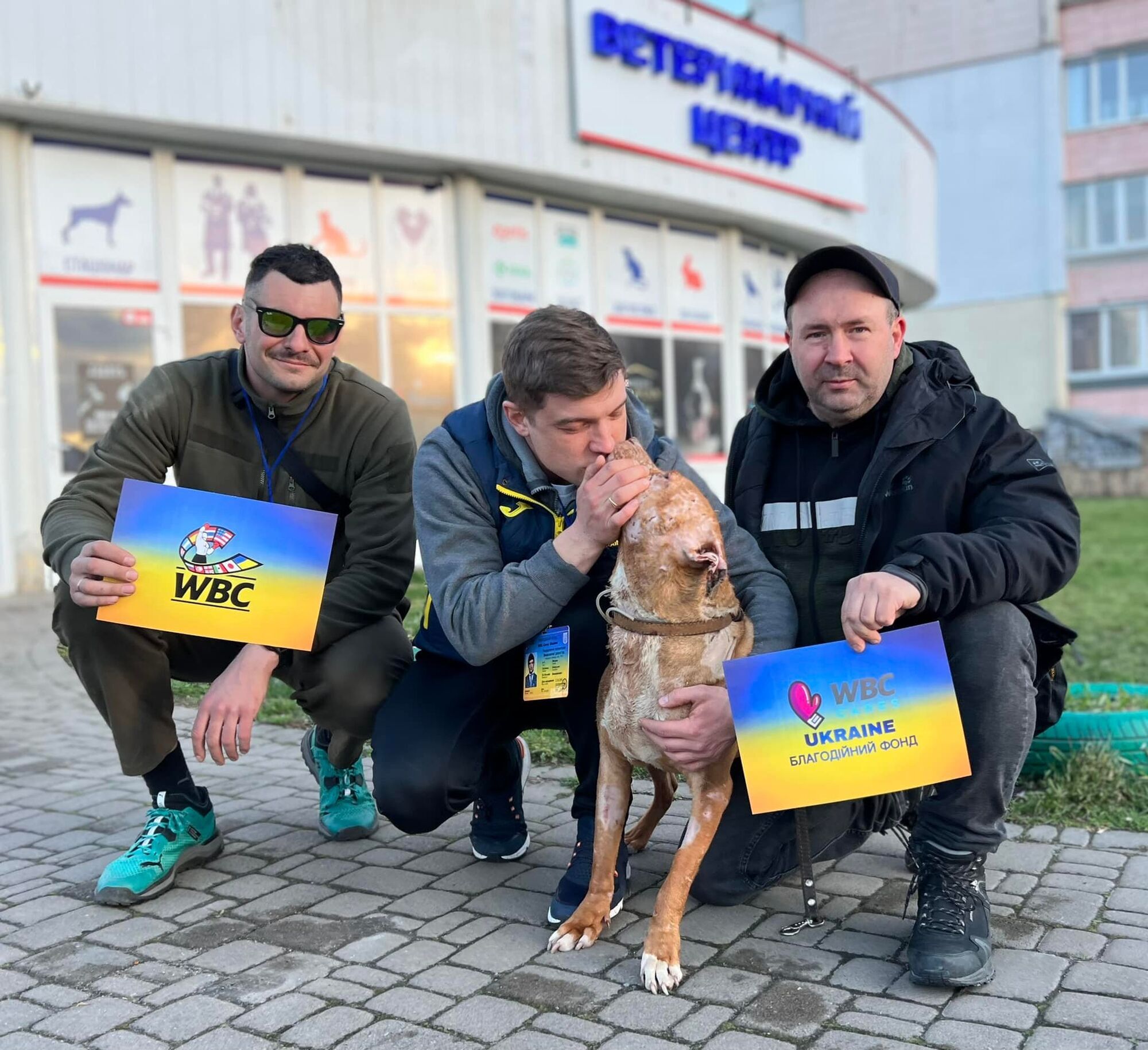 Закидали собак гранатами: пес Атос, який дивом вижив у Бучі, полетів до США, а улюбленицю президента WBC Ukraine вбили росіяни