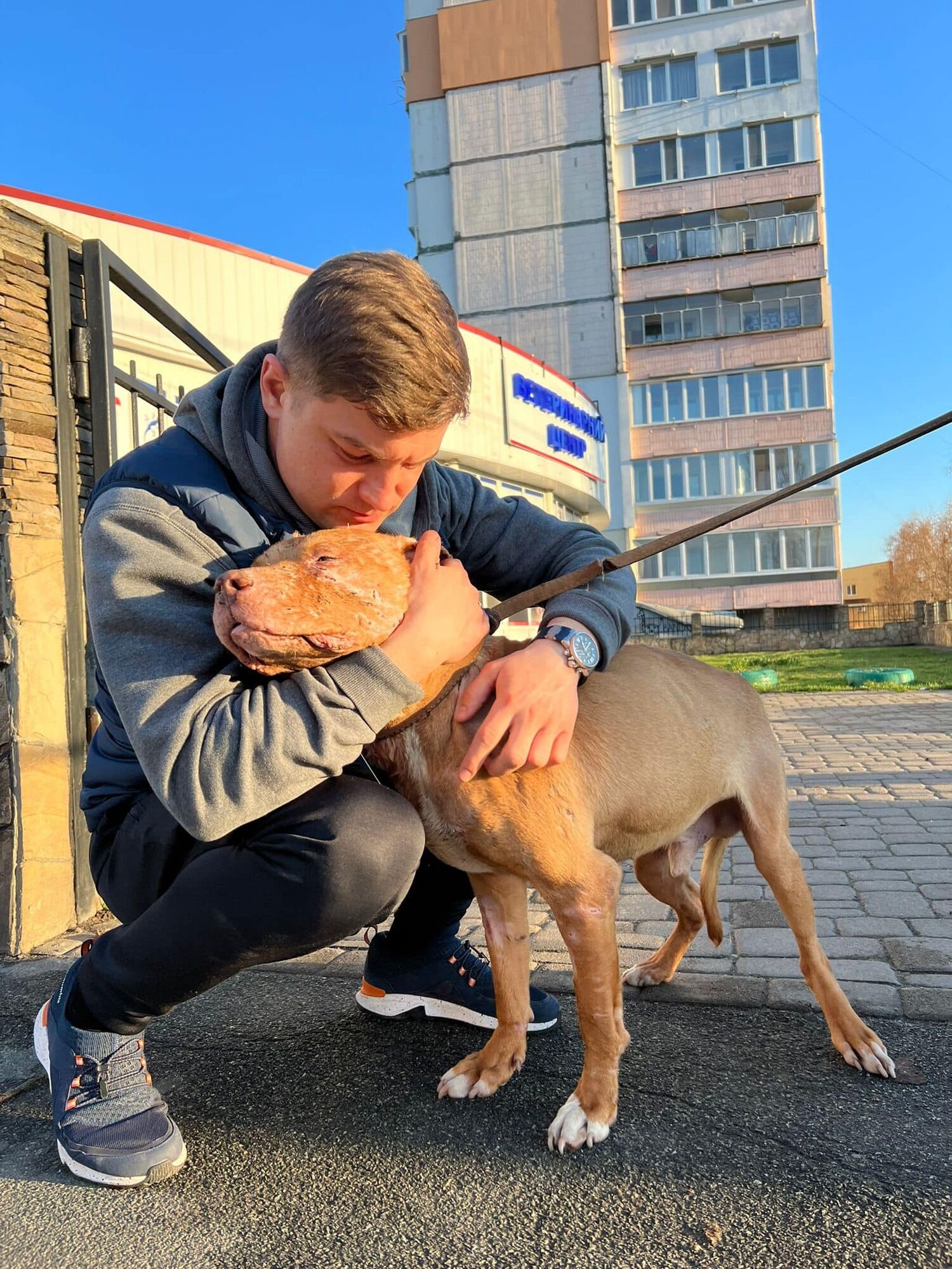 Закидали собак гранатами: пес Атос, який дивом вижив у Бучі, полетів до США, а улюбленицю президента WBC Ukraine вбили росіяни