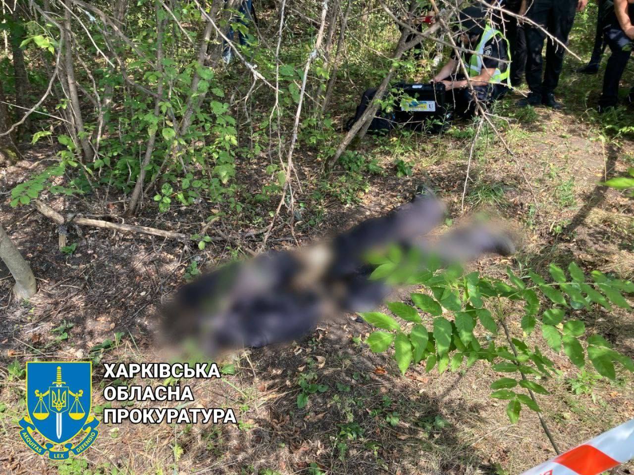 У лісосмузі на Харківщині знайшли тіло чоловіка