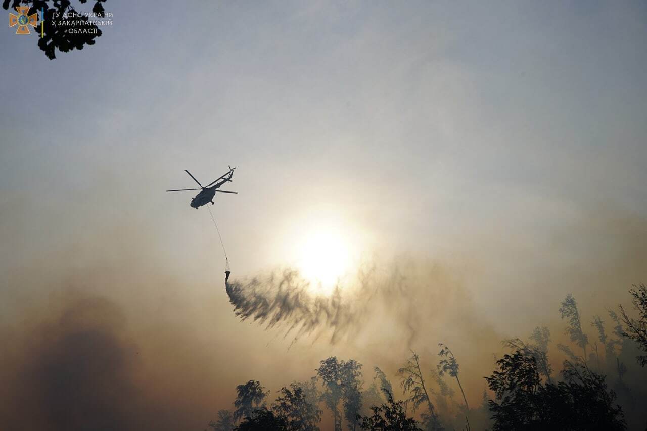 На Закарпатті спалахнула потужна лісова пожежа, до боротьби з вогнем залучили авіацію. Фото і відео 
